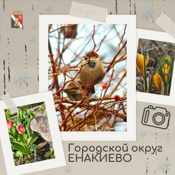 ��������� ������ ���������� ������ ��������