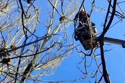 ����-�������� ���������� ������: � �������� ������ ��������� ������������ ��������