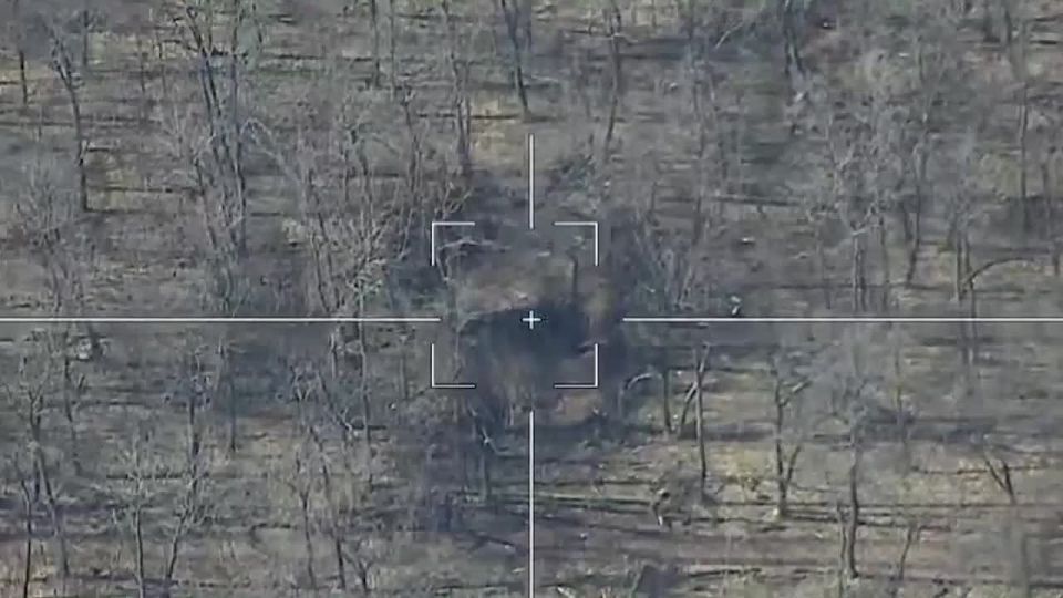 ������� ������: � ��� ����� L-119 ��� ����������, ������� ������ �� �������