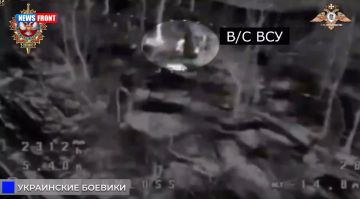 ��������� FPV-������ ���������� ����� ���� � ���� ���