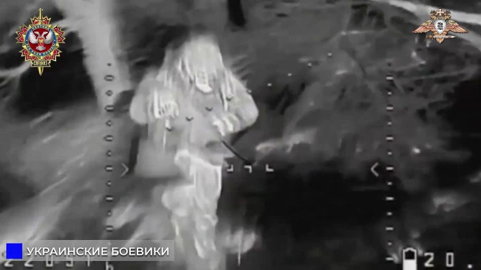 �������� ������ ����� ���� � ���� ���