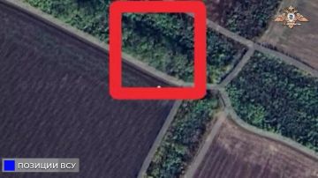 5 ����� � 57 ����� �������� ������� ��� � �������� � ��������