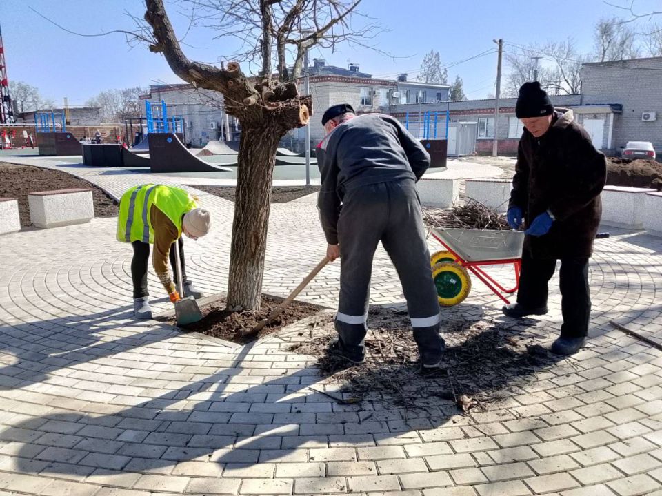 ����� �����: ���������� � ������������ ���� ������� ����� ���������� ��� ��� ������