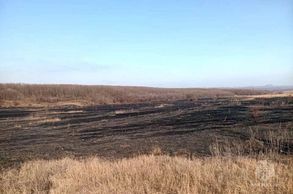 � ��� � ����� � ����������� ������������� ����������� ������