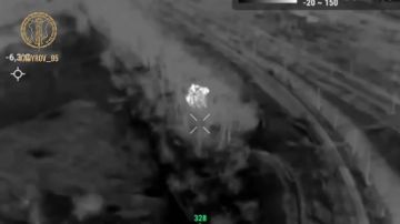 ������ �������: ���������������� �����������