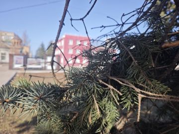 ������������� ��������. 11 ����� � ���������� ������������ ������, ��� �������