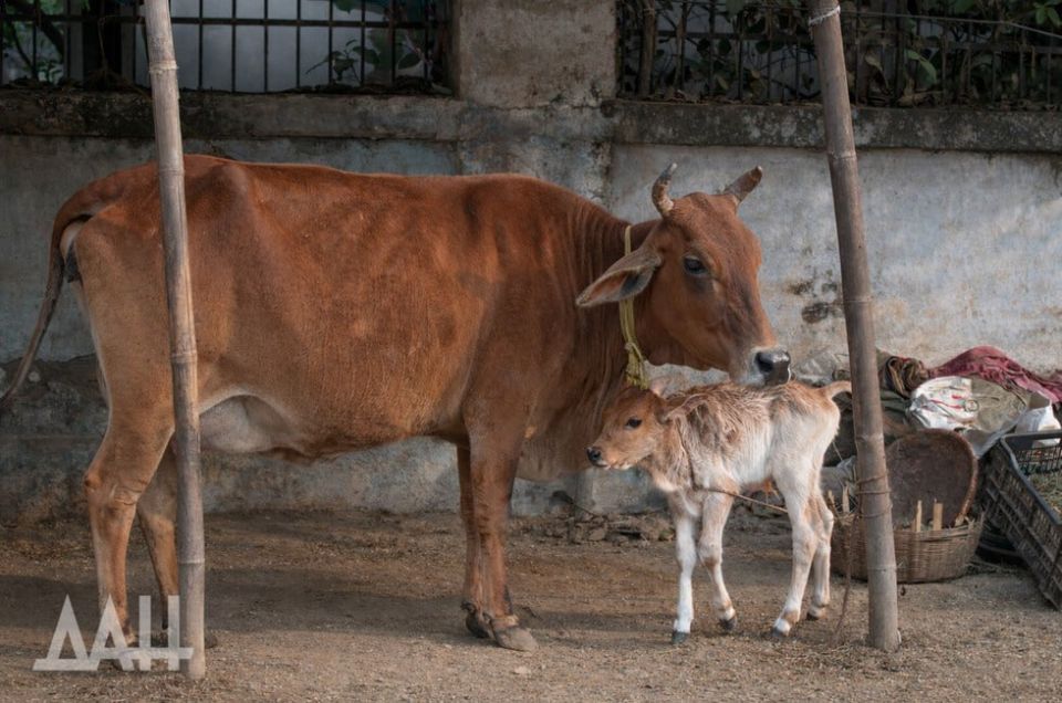 ������������ �� ��������� ����������� ����� ����������� ������� 41 ��� ������