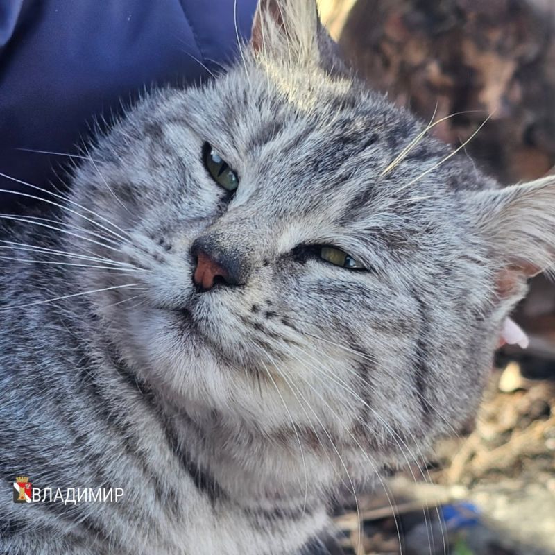 ����� ��������: � ����� ����!. #�������� #������������������ #���������������