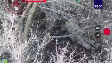 ������� ���������� ������� ������� ����������� �� ��, �� ��� ��������� �� ���������-������������ �����������