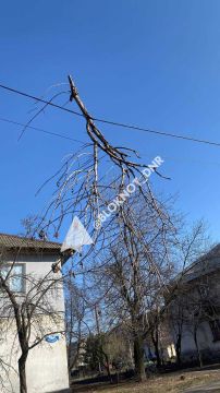 �����, 4 ���� ����������� �� �������� �� ����� ����������� ��� ������������� � ��������, �������, �����