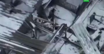 �������� ��������: ���������� ���������� �������� 21-������� ����� �������