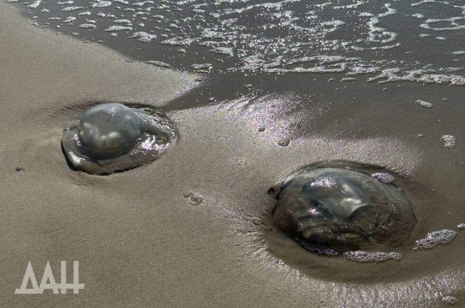 ����� �� ��������� ���� ���������� ���������� � 260 ����� ���� ���������