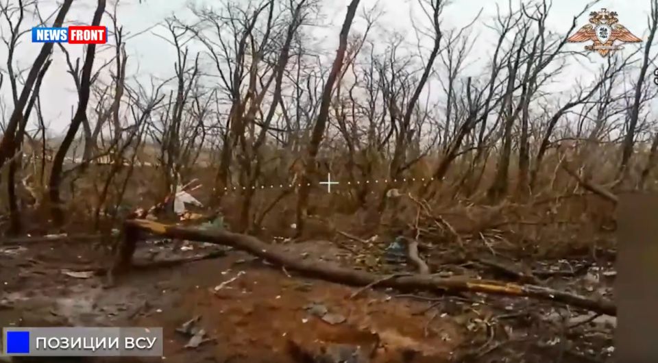 Операторы FPV-дронов уничтожили позиции ВСУ в районе Торецкого