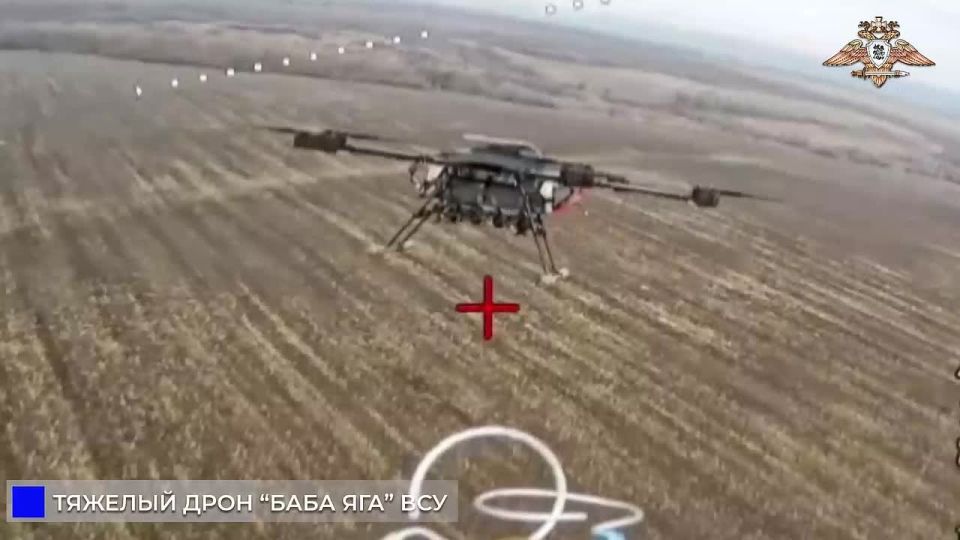 ������ �������� 238 ������� ������� �����-��� �� ���������������� �����������