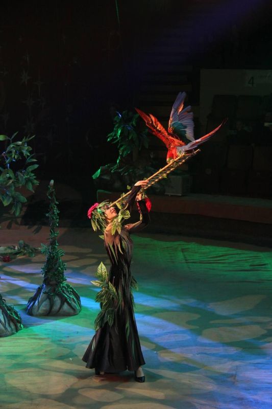 ���� ������ ������ � ������