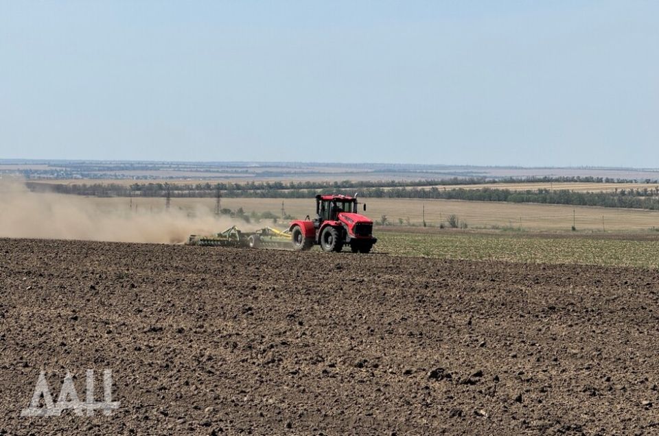 ���� �� �����. ������� ���������� ������� ������ ��� ������