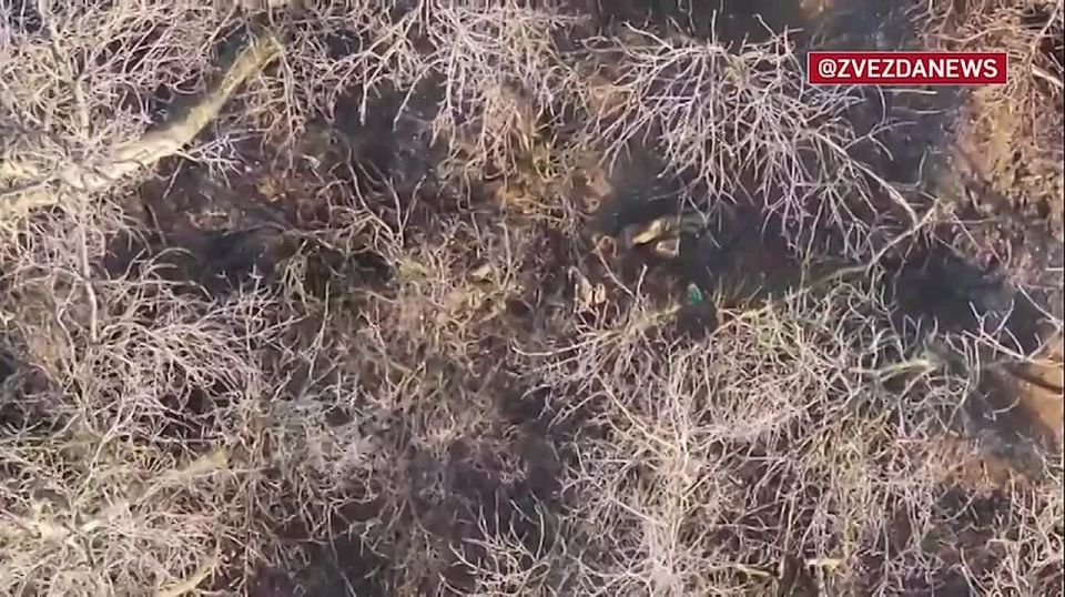 Десант ВСУ не смог скрыться от наших дронов — противника разгромили вместе с бронетехникой и пикапами