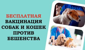 ��������� ������ ��� ������!