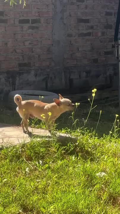 Сегодняший день ощущается так