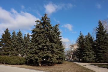 12 ����� � ���������� ��������, ��� �������