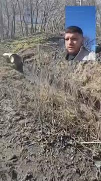 ����� �������� �������, ��� �������� ������ ���� �� �������, ������� ������� ������ �� �������� �����