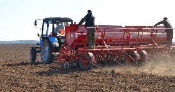 ������� ����������� �.�. ������ ����� ������ �������