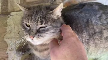 ������� ������: #��� �������� ���� ��������� ���� � ��� ����, ����� �����������, ��� ��� �������� ������