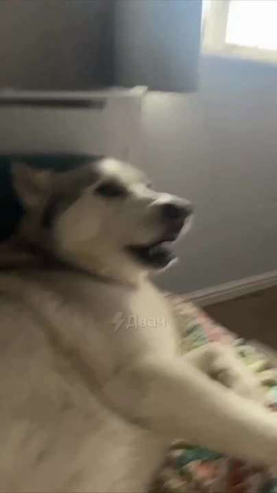 День предлагаем начать стремительно, а погода тому поможет: