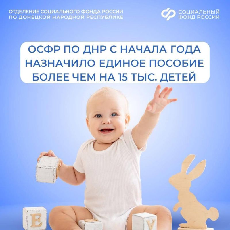 Назначение единого пособия в ДНР с учетом новых правил с 1 марта