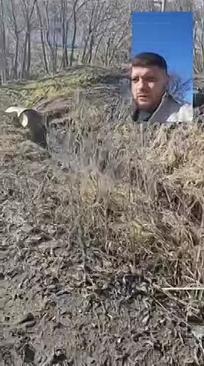 Тимур Дьяченко показал, как временно решили одну из проблем, которую подняли жители на недавнем сходе