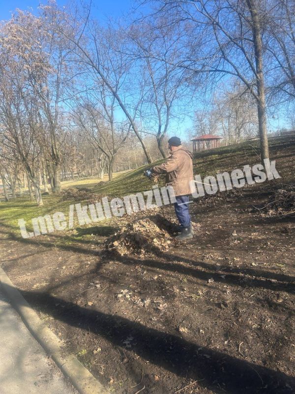 � ������������ ����� ��������� �������� ������ ���������� ������ �� ��������������� �������� �����������