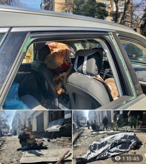 ���� ��������: 14 ����� 2022 ����. ������