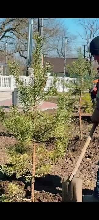 � ������� �� ����� ������� �������� ����� ������� ��������