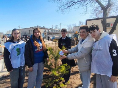 ����������� ������ ������