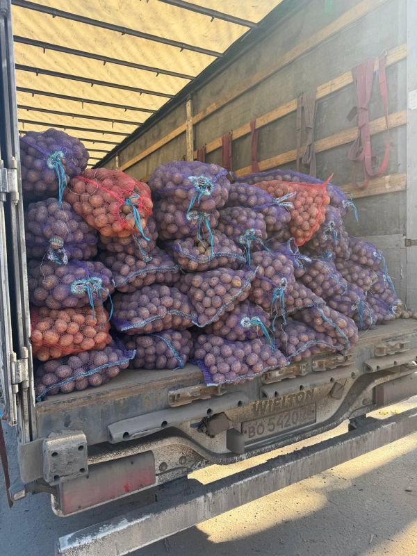 � ���������� ��������� ��������� ������ ������������ ������: ���� ��������� ����� ����� 20 ����