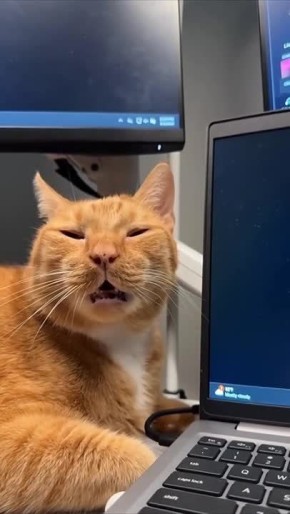 ����� ��������� ������� ��������� ������, �� ������� ��������� � �����������