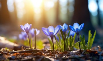 ������������� ��������. 15 ����� � ���������� ��������� ����������, ��� �������