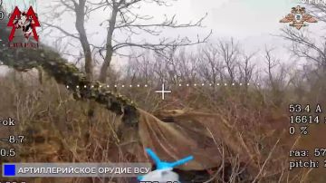 ������ ������ �113 � ���. ������ ��� � ����������������� � �������