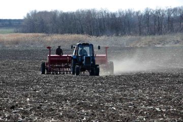 � ��� ���������� �������� �������� ��������