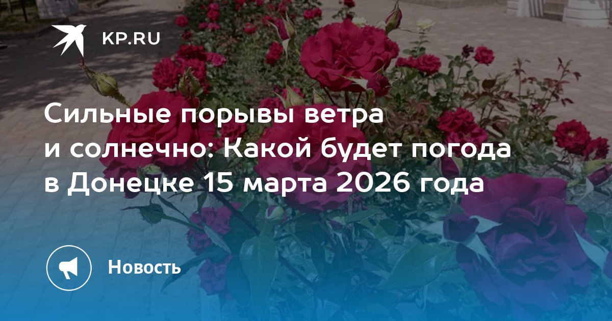 Сильные порывы ветра и солнечно: Какой будет погода в Донецке 15 марта 2026 года