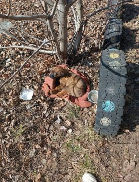 ���������� ����� ������ ����� ������ �������������