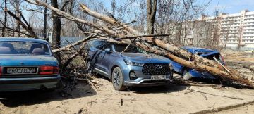 ������� ����� ������ ��������� �������������� ������ � ���������