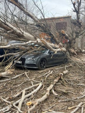 ������ ��������� ���� ����� 16 �������� � �������