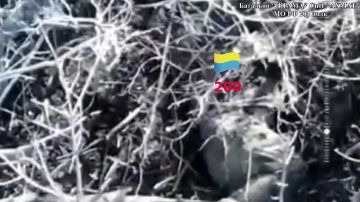 ������ �������: ����� ��������� ����� ������������ �������� �����һ �� �� @AptiAlaudinovAKHMAT ������� ������ ���� �� �������� ���������� �������� ���������� ������ ������� (���)