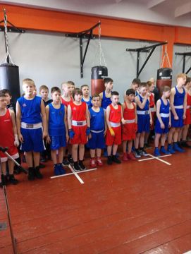 Соревнования по боксу «Открытый ринг»