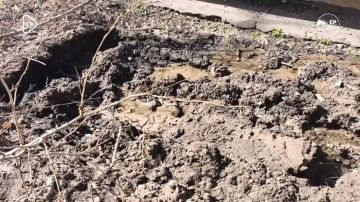 ������ ���� ������ ������� � �������� ���������� ������ �������