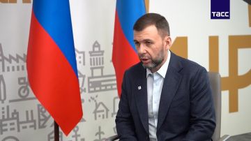 Российские силы ведут бои у Нового Донбасса и Белицкого к востоку и юго-востоку от Доброполья ДНР, сообщил глава республики Денис Пушилин в интервью ТАСС