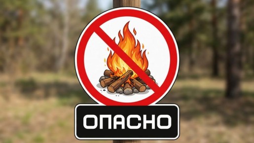 ����������� ����������� ������ ������������� �.�. ������ ���������� � �������� ��������� � ������������� ������