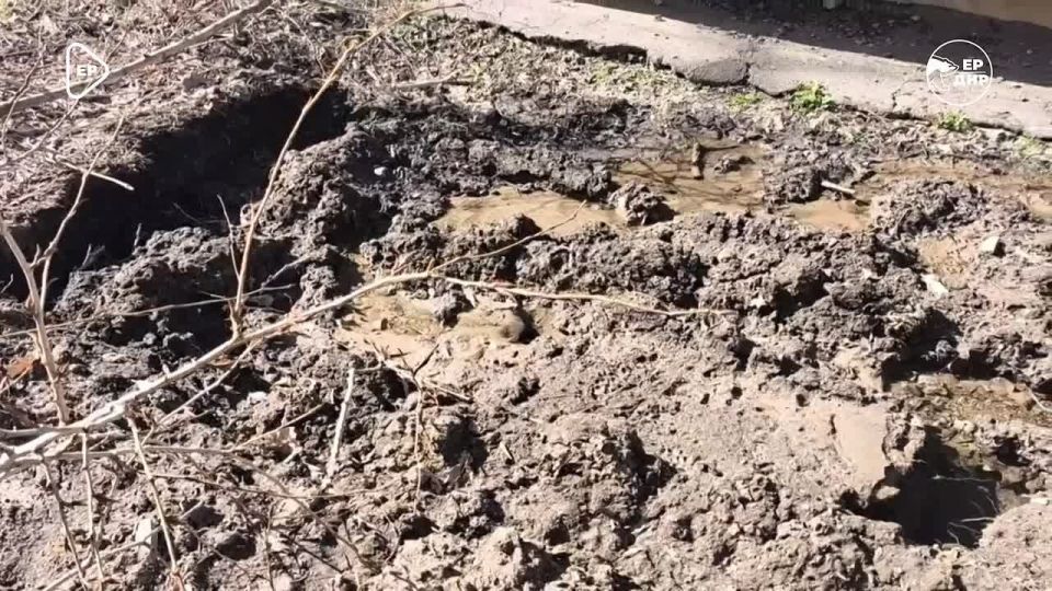 ������ ���� ������ ������� � �������� ���������� ������ �������