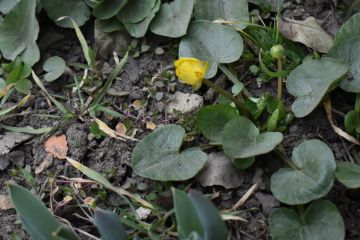 ����� �����: ������ ����, ������������� ������������� �����!